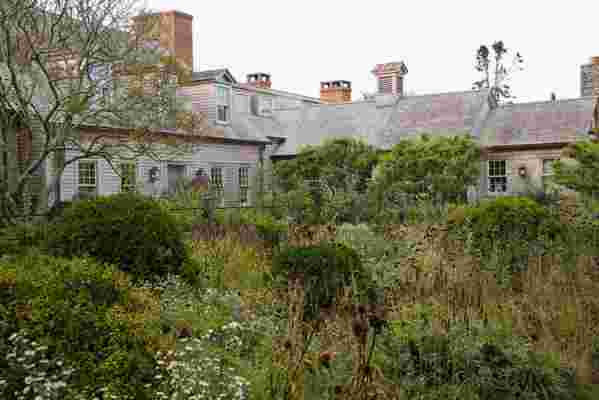 Magical Gardens by Arne Maynard