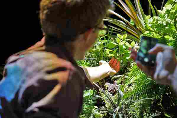 We Go Inside the World’s First Underground Park: The Lowline Lab in New York City