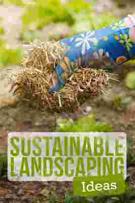 6 Sustainable Landscaping Ideas for a Greener Yard