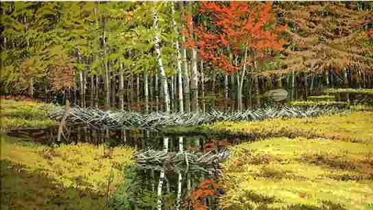 Autumn in Aspen