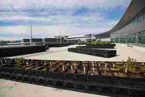 JetBlue’s Farm at JFK Airport Faced Design Challenges